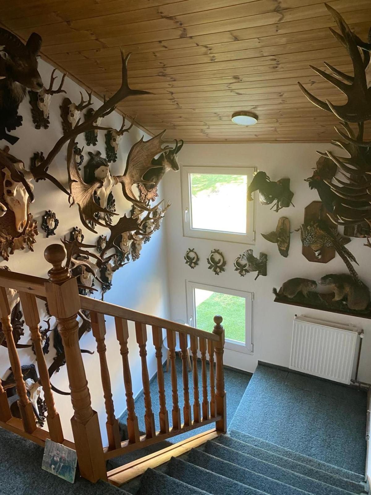 Apartment U Hajcusu